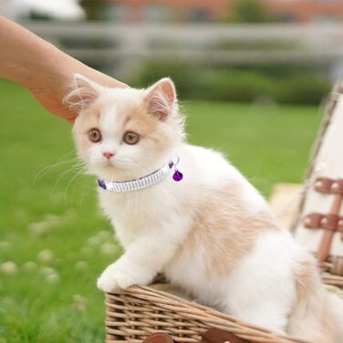 Нашийник для котів ExPawlorer з дзвіночком та стразами, м'який оксамит, безпечний, регульований, для котів та маленьких собак, 2 шт. (чорний та фіолетовий), 9'-12'