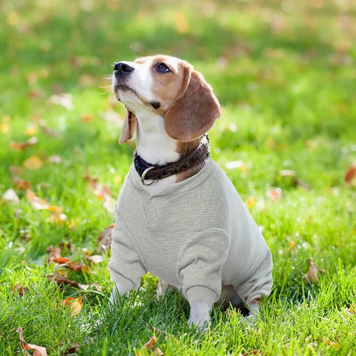 Зимовий теплий одяг для собак: жилети, куртки, комбінезони для собак різних розмірів (XS, B-Gray). Підходять для малих, середніх та великих собак.