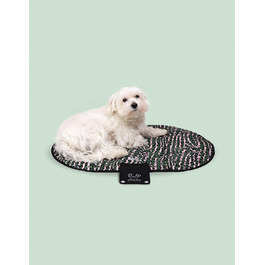 розмір: єдиновірність