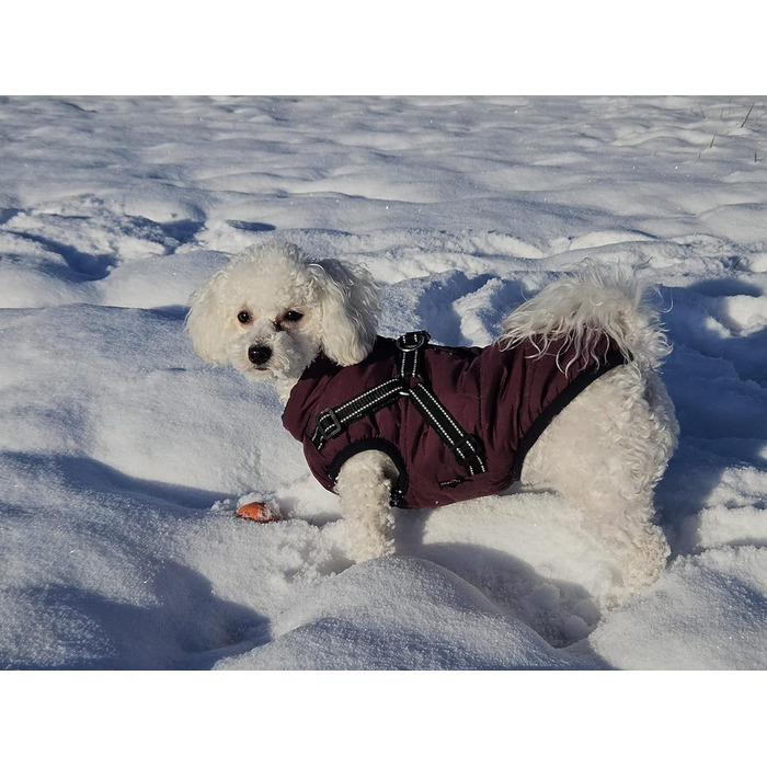 Зимова жилетка для собак - тепла жилетка для тварин, бавовна, з нагрудником (L, фіолетовий)