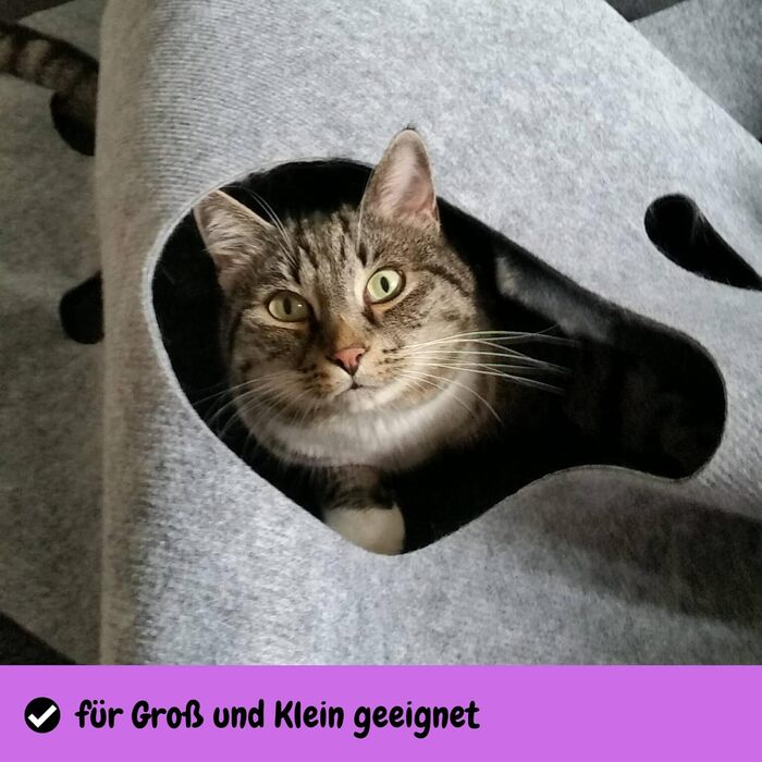 CatMountain® Інтерактивний килимок-тунель для котів, іграшка для кошенят та дорослих котів