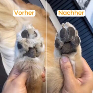 Триммер для собак PawTrim Pro - безболісний догляд за подушечками лап, електричний (2 шт.)