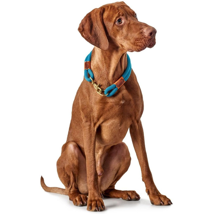 Нашийник для собак HUNTER OSS, петроль, L-XL, мотузка, карабін, морський стиль
