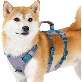 колір: блаугрен