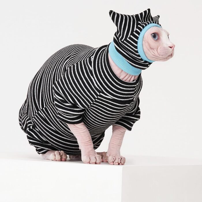 Набір одягу для сфінксів: муфта та сорочка, чорно-білі, дихаючі, розмір Small