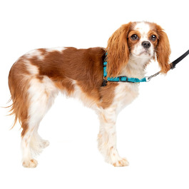 PetSafe Easy Walk Deluxe - шлейка для собак, нейлонова, безпечна, чорна, розмір S