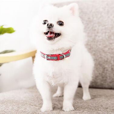 Yonsbox Персоналізоване світловідбиваче відбиваче для собак та котів – Легке, міцне мікрофіброве ошийник з гравіюванням, тихим ID-значком та світловідбиваючою строчкою безпеки – 6 розмірів (XS–XXL) Фіолетовий M: 29-38 см (підходить для 6-10 кг)