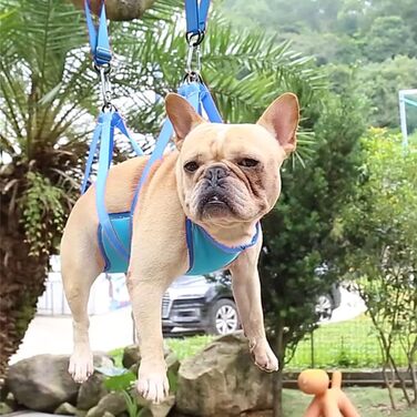 Набір гамаків для домашніх тварин DGLDCSHUAI, дихаючі, запобігають натиранню, регульовані ремені, шлейка для собак маленьких порід (L), блакитний