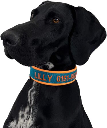 Ошийник для собак з можливістю персоналізації - XS-XXL - індивідуальне замовлення: вишивка імені та номеру телефону - широкий та регульований