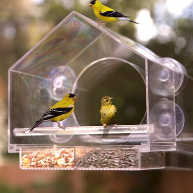 Пташина годівниця Birds-I-View для вікна, прозора, зовнішня кормушка для птахів
