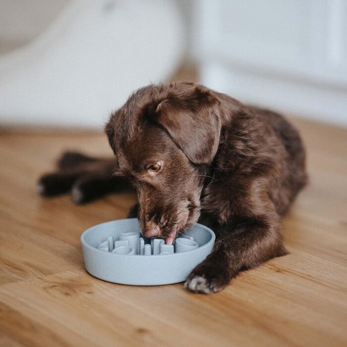 Повільний годівник для собак District 70 Bamboo - блакитний, діаметр 28 см