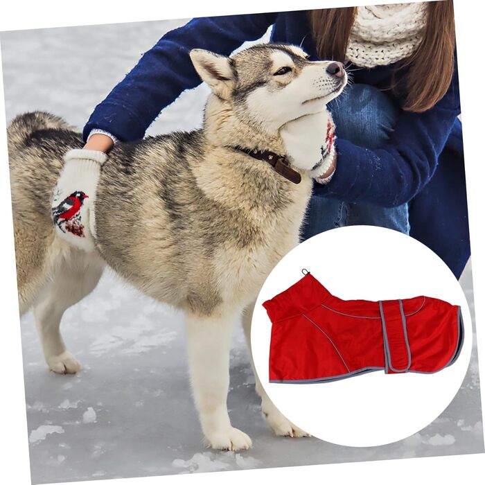 Водонепроникний дощовик для собак BESPORTBLE, XXL - надійний захист від дощу та осінньої негоди