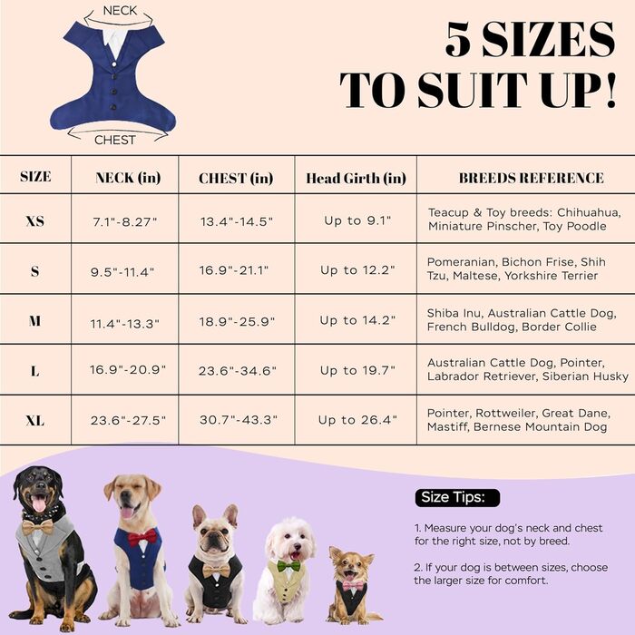 Елегантний собачий смокінг для свят: весілля, день народження, Хелловін, Косплей, Різдво. Комплект з краваткою для собак середніх та великих розмірів (L, обхват грудей 60-88 см). Синій смокінг + чорна краватка