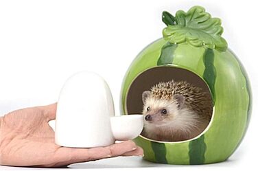 Автоматична годівниця для води з кераміки Dahey для маленьких тварин: миші, хом'яки, їжачки, шиншили, єноти, морські свинки (227 мл)