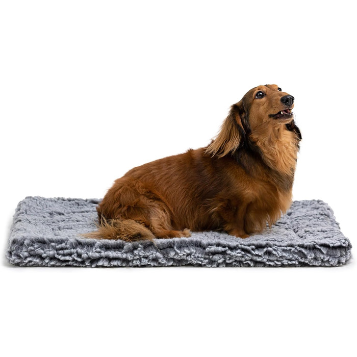 Міцне ліжко для собак Stoutwool - стійке до гризіння, для маленьких порід, 58x41x5 см, сірий