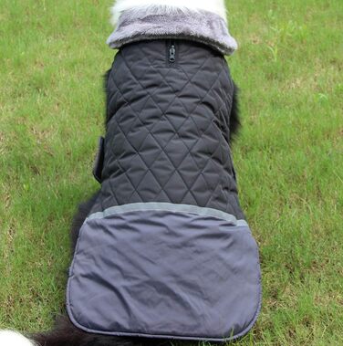 Водонепроникний теплий зимовий одяг для собак, Blu, S - JoyDaog