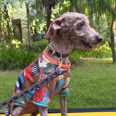 Нашийник для собак та котів Viwind з м'якої шкіри, регульований, комплект (1.5/2см, білий/коричневий)