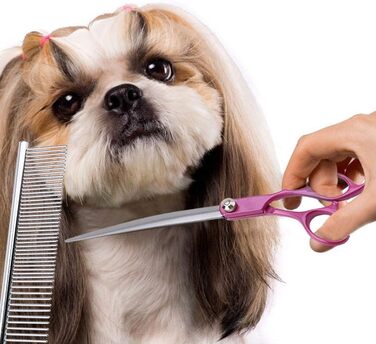 Професійний набір для грумінгу домашніх тварин SYH&AQYE: 4 ножиці для собак та котів, випрямлені та зігнуті моделі, з гребінцем