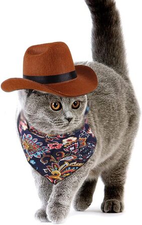 Костюм ковбоя для котів та собак (Small) - комплект з 2 частин: капелюх та бандана