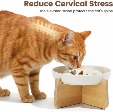 PETTOM Миска для котів протиковзаюча піднята, керамічна миска для котів, повільна годівниця для котів, миска протиковзання для котів та маленьких собак, біла миска + підставка (миска біла-квітка + підставка)