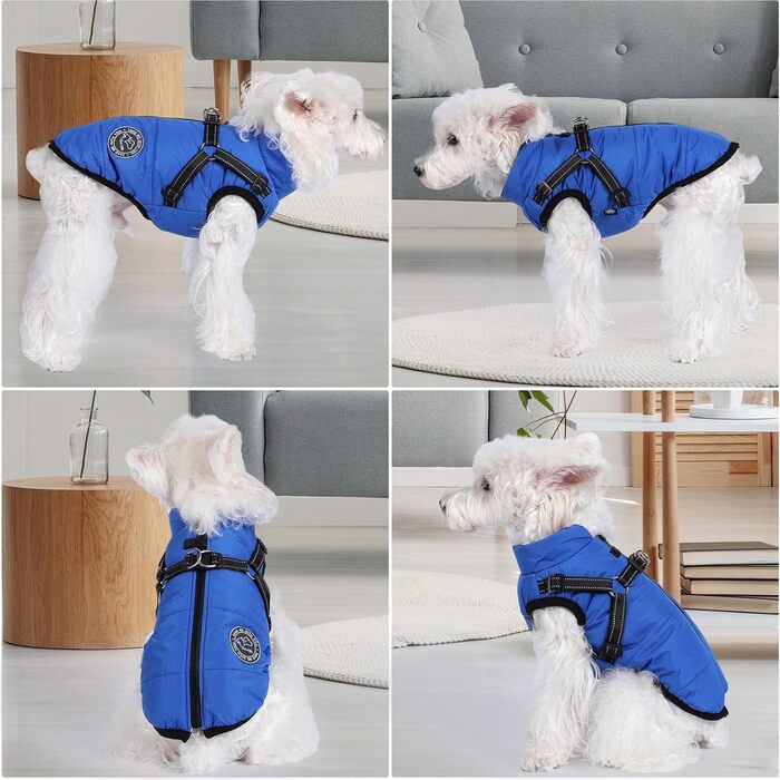 Зимова куртка для собак з начосом та жінним поясом (XL, блакитна)