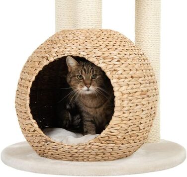 Дерево для котів ZooPlus Laguna з місцями для відпочинку з рогожу, довгі сизалеві стовпчики, висота 160 см