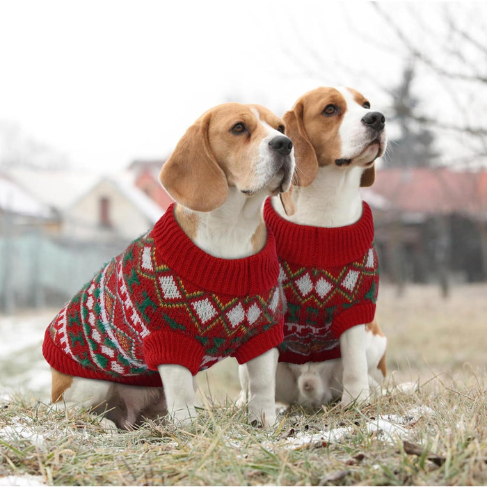 Пуловер для собак Boho, святковий пуловер для маленьких собак, теплий пуловер з отвором для повідка, червоно-зелений пуловер для чихуахуа, йоркширського тер'єра, джек-рассела, XS