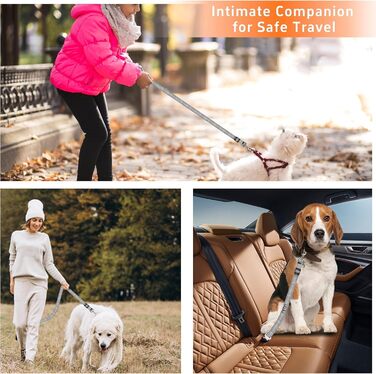 Нашийник для собак у багажник авто, 2 шт. - фіксація, безпека, комфорт під час подорожей, для всіх порід, з еластичною амортизацією та міцними карабінами (сірий)