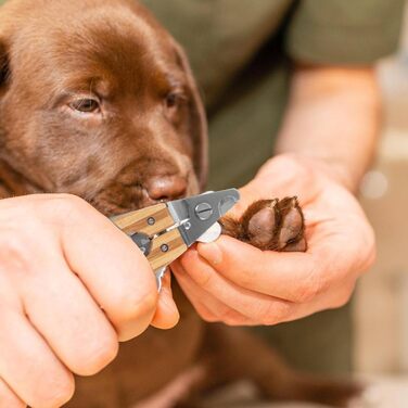 Ножиці для догляду за тваринами Happyyami: безпечні ножиці для собак та котів, ергономічний дизайн