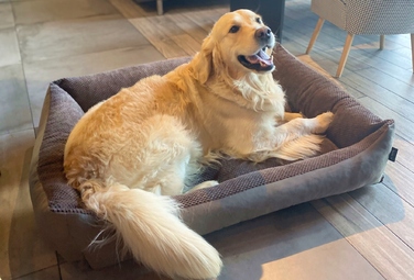 Затишне текстильне лежак для собак TEO, 100x80 см, розмір 4L