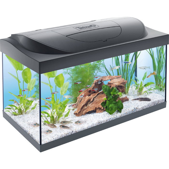 Акваріум Tetra Starter Line 54л Комплект Чорний: з LED освітленням, фільтром, обігрівачем, кормом та кондиціонером для води