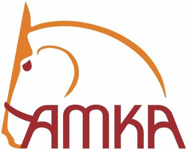 AMKA Рейтпад без сідла з замші для верхової їзди, комфорт, розмір Вармблут, для дорослих, рожевий
