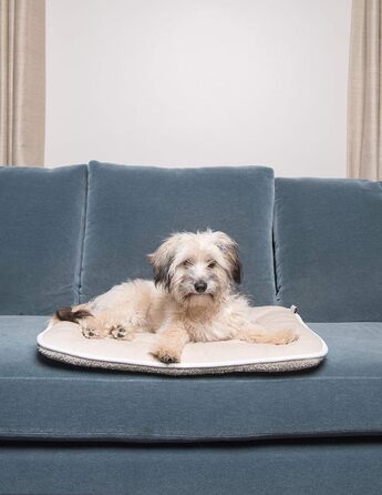 Подушка для собак Dog Gone Smart, розмір L, колір Berry (Ягода)