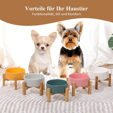 Миска для кота, миска для корму кота, миска для кота з підставкою, піднята миска для котів, миска для собак, керамічна миска для котів та собак, 400 мл, зелена