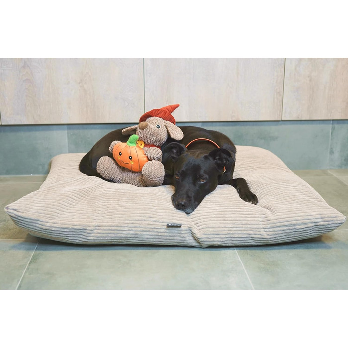 Килимок для собак 60x50 см, бежевий, Corduroy (4L Textil ZOE)