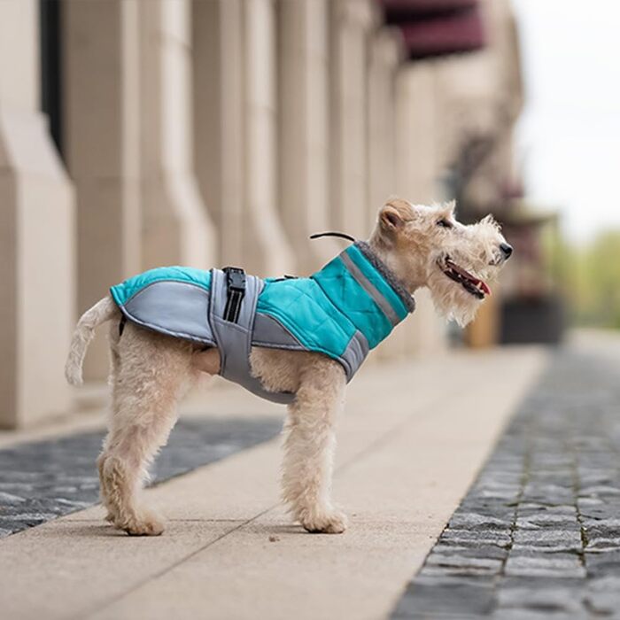 Тепла водонепроникна жилетка для собак з коміром, м'яка та зручна, зелена, розмір M