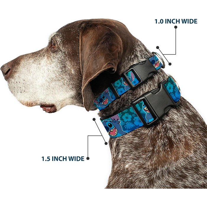 Нашийник Buckle-Down з пластиковим затискачем - Stitch Expressions/Колаж гібіскусу зелено-блакитний градієнт - ширина 1 дюйм - підходить для шиї 15-26 дюймів - великий