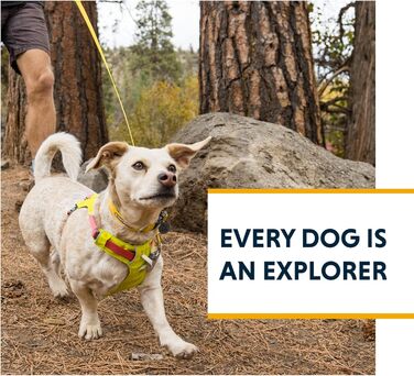 Повідок для собак RUFFWEAR Hi & Light, міцний, із вбудованою кишенею, надійний Crux-Clip, компактний, зелений Lichen Green