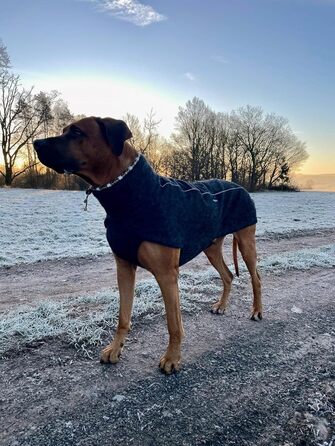 Теплий зимовий одяг для собак EDEL&SCHNELL: вовняна куртка з довгим коміром та світловідбиваючими елементами (65-70 см)