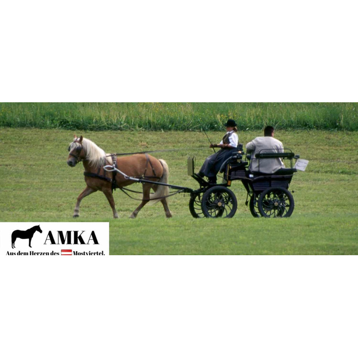 AMKA шкіряний пояс для упряжі/селета для коня, для одиночної упряжки