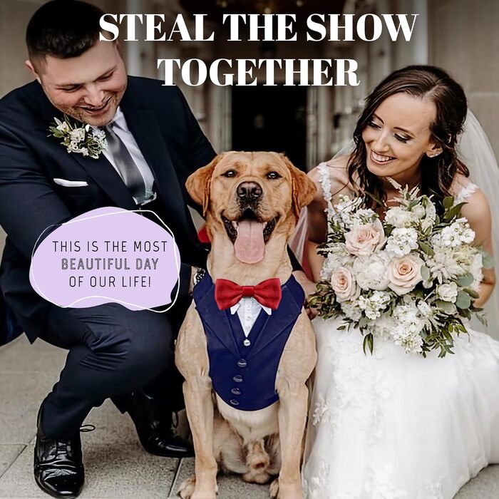 Елегантний собачий смокінг для весілля та ювілею, стильний набір для фотосесій та свят, синій смокінг з червоною краваткою (L, Neck 16.5-20.5 дюймів)