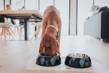 Набір мисок для собак та котів Hunter Kimberley з нержавіючої сталі (білий, 700 мл)