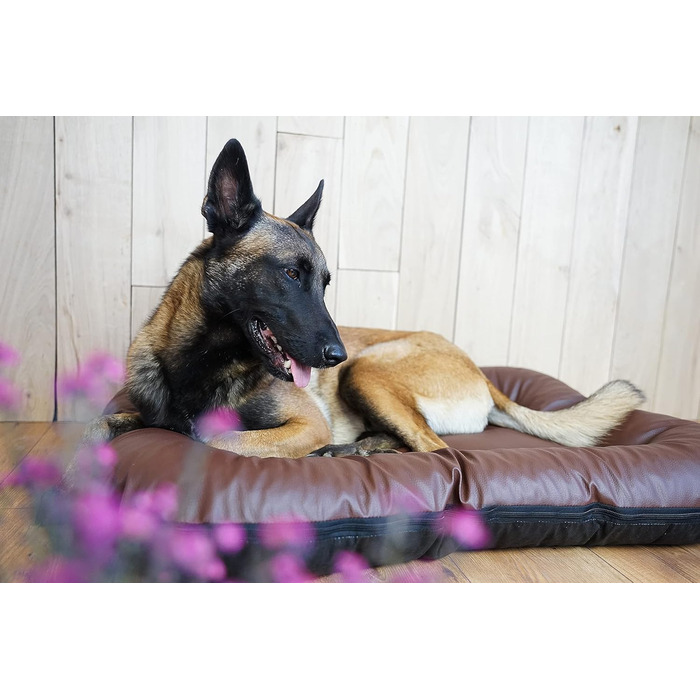 Ліжко для собак середніх порід 4L Textil Ella з штучної шкіри, водонепроникний матрац (90x70 см, коричневий)