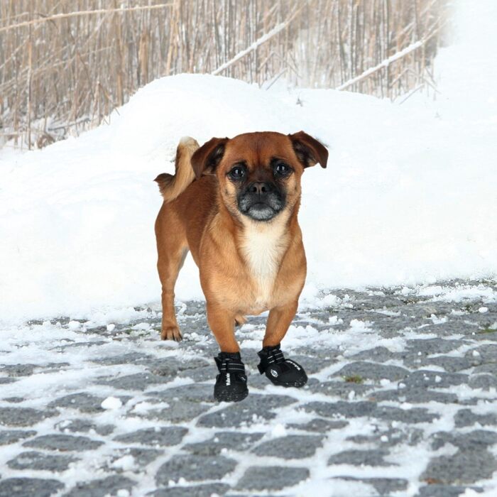 Захист для лап TRIXIE Waker Active чорний (2 шт.) XL