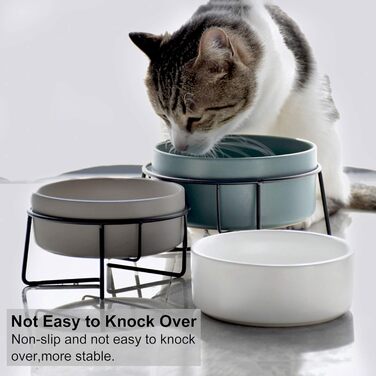 Набір мисок для котів PETTOM з підставкою (2 шт.), кераміка, захист шиї, зелений + сірий