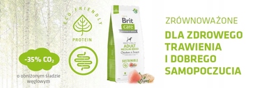 Сухий корм для дорослих собак малих порід BRIT Sustainable з куркою, 7 кг