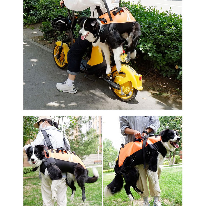 Рюкзак для собак L&Y Jewelry Hundetrage: переноска для собак вагою 15-40 кг, регульований, для собак з артритом та проблемами суглобів