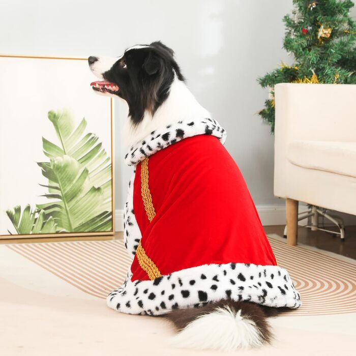 Шовковий лежак для котів та собак Lovelyshop Pet Serial Lux, для косплею, костюмів на Хелловін, король, королева, принц, принцеса, червоний, L