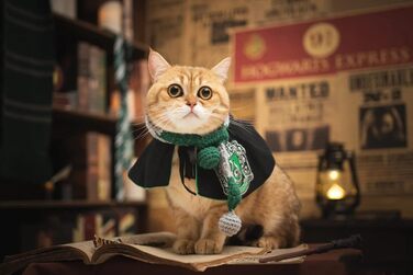 Костюм для собак та котів з окулярами та краваткою, Cosplay, розмір M (Слизерин)