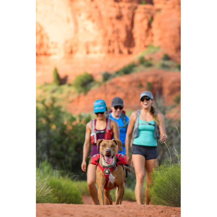 Рюкзак для собак Ruffwear Trinkruckack (Blue Duk) з водою 2x600 мл + Ingletrak Pack 200 мл